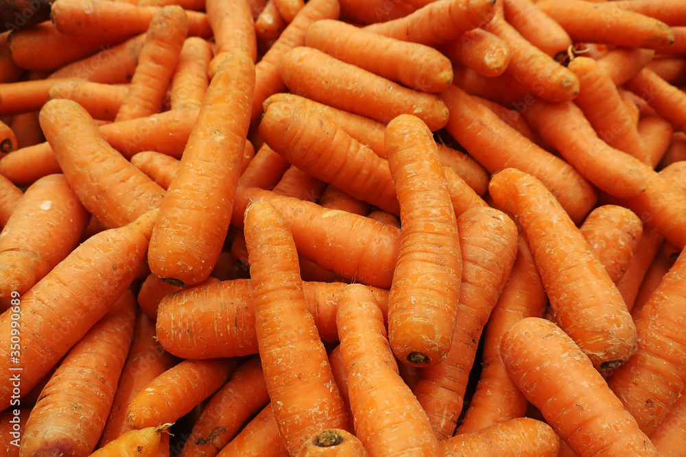 Background image of harvested washed carrots in a pile Background image of harvested washed carrots in a pile