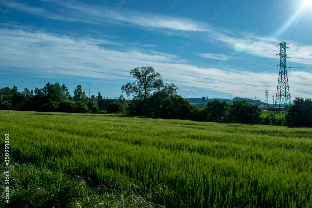Prados y campos de cultivo en verano. Prados y campos de cultivo en verano.