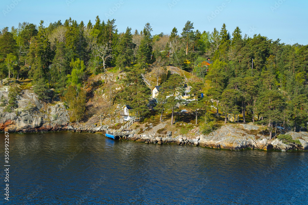 Obraz premium Sweden - Baltic sea and the forest