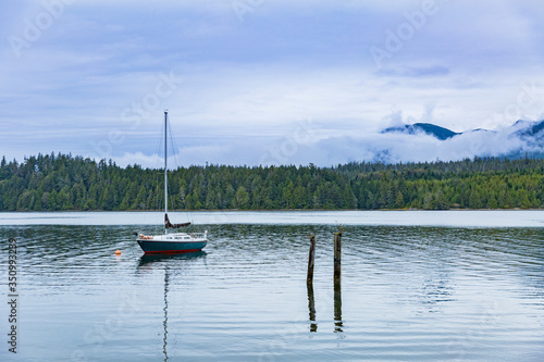 Little sail boat