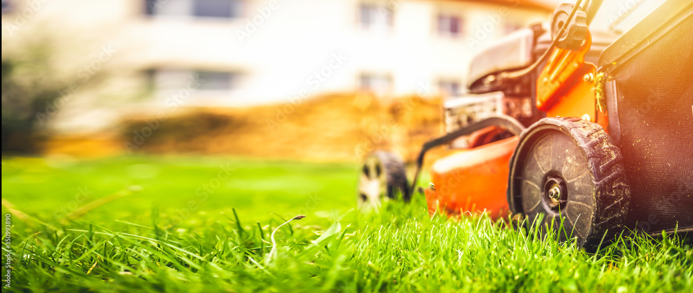 Lawn mower cut grass. Garden work. Electric Rotary lawn mower machine - obrazy, fototapety, plakaty 