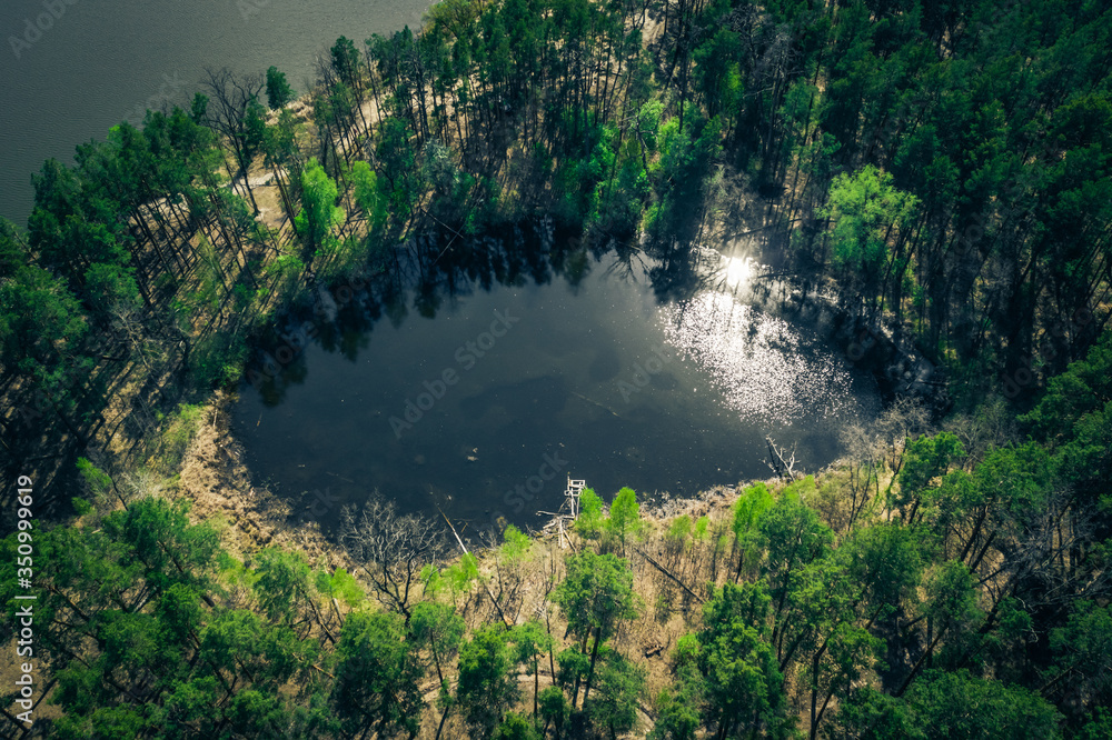 top view of a mysterious scary lake, a strange place with unusual energyin the green northern Pine forests, lungs of the planet, on the bay - Aerial Flight top view of a mysterious scary lake, a strange place with unusual energyin the green northern Pine forests, lungs of the planet, on the bay - Aerial Flight