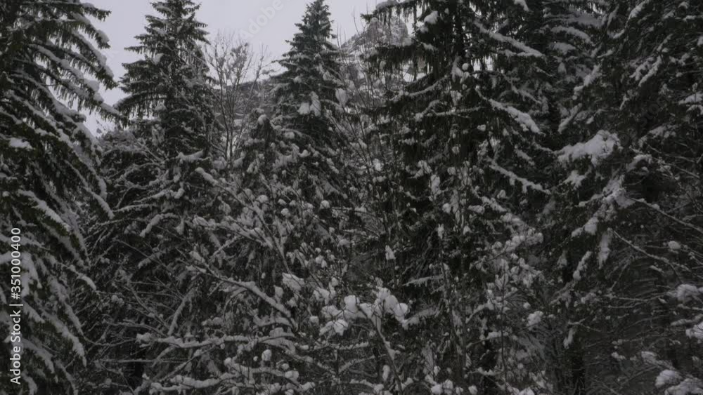 Rise up from ground level to reveal huge dramatic mountains covered in snow