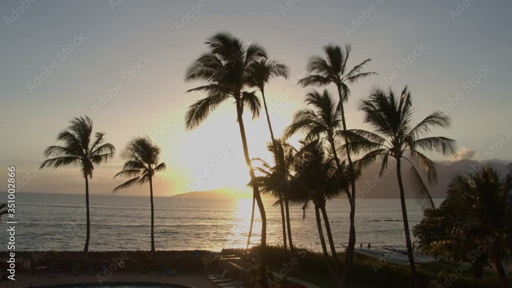 Sunset Time Lapse through Palm trees over the ocean in Maui Sunset Time Lapse through Palm trees over the ocean in Maui