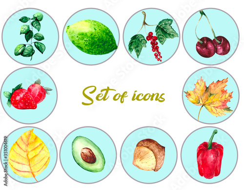 Fototapeta Naklejka Na Ścianę i Meble -  A set of icons with the image of berries, vegetables and autumn leaves on a white background. Watercolor plants: pepper, lime, chestnut, avocado, strawberry, currant, cherry and autumn leaves.