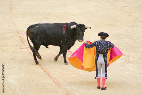 Spanish torero performing a bullfight at a big arena