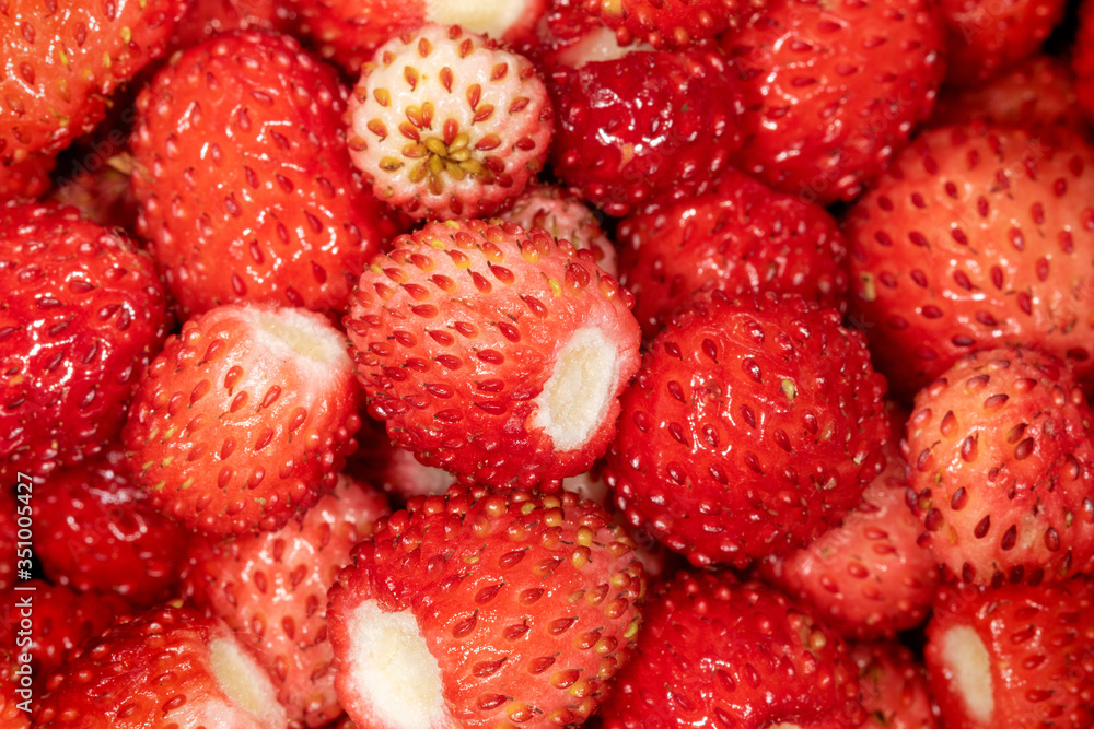 The fruit of Fragaria vesca, commonly called wild strawberry or woodland strawberry The fruit of Fragaria vesca, commonly called wild strawberry or woodland strawberry