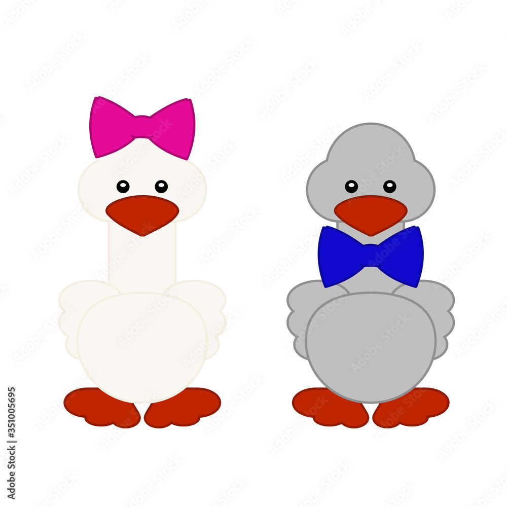 Colorful female and male goose.  Cute bird.