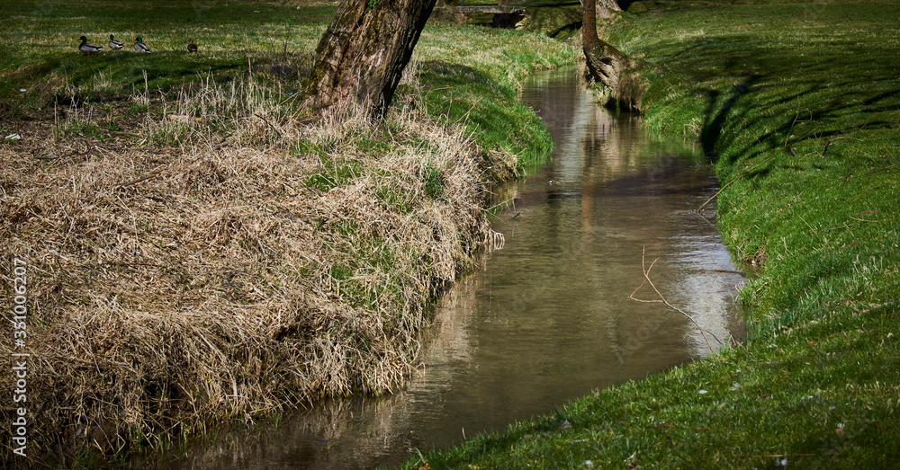 A quiet stream meanders around meadows and fields A quiet stream meanders around meadows and fields