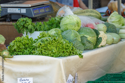 Festive agricultural market. One of the counters with fresh vegetables is zucchini, cabbage, salad, cilantro and much more. The owner of the counter serves customers