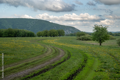 Spring landscape, rare trees, winding country road leading to the mountain.
