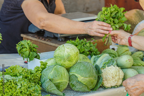 Festive agricultural market. One of the counters with fresh vegetables is zucchini, cabbage, salad, cilantro and much more. The owner of the counter serves customers