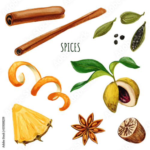 Set of spices including anis star and cinnamon