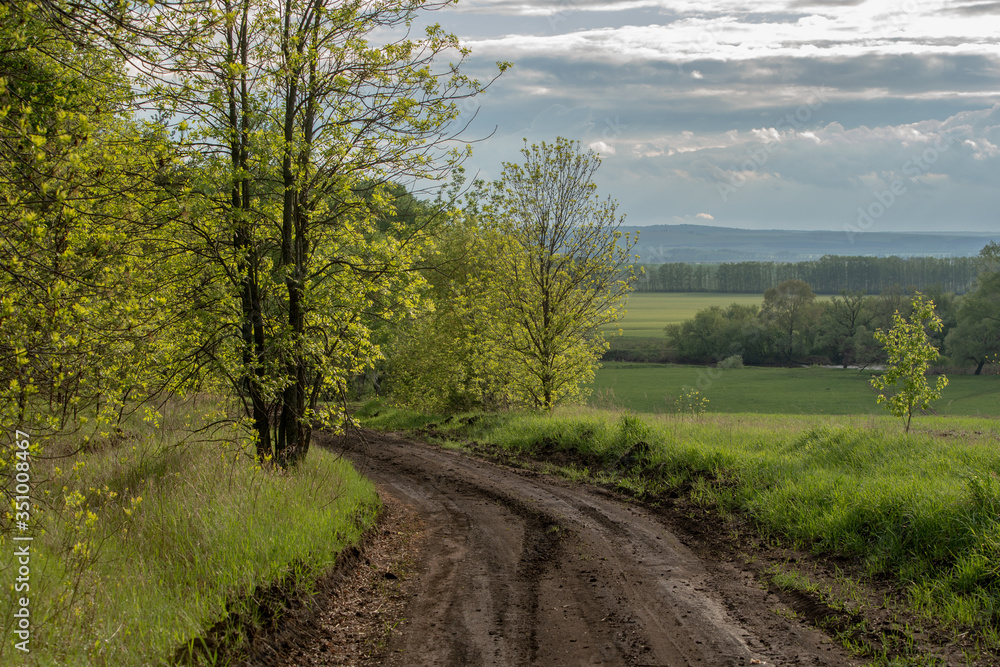 Spring landscape, rare trees, winding country road, bright sunlight after rain. Spring landscape, rare trees, winding country road, bright sunlight after rain.