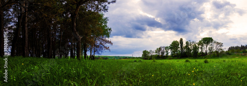 Landscape of a field near a forest in cloudy weather, panorama with beautiful sky