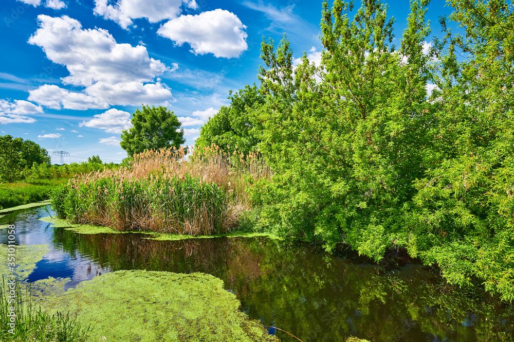 Blue and cloudy sky over a little creek in the surrounding countryside of Berlin, Germany. Blue and cloudy sky over a little creek in the surrounding countryside of Berlin, Germany.