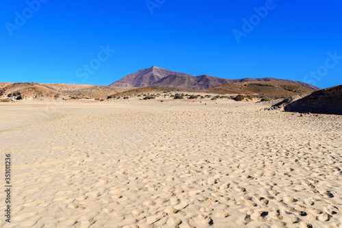 View of beautiful Playa de la Cera beach, blue sea, yellow sand, cliffs. Papagayo, Playa Blanca, Lanzarote, Canary Islands, selective focus