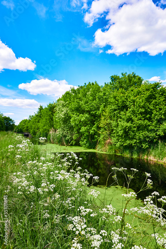 Blue and cloudy sky over a little creek in the surrounding countryside of Berlin  Germany.