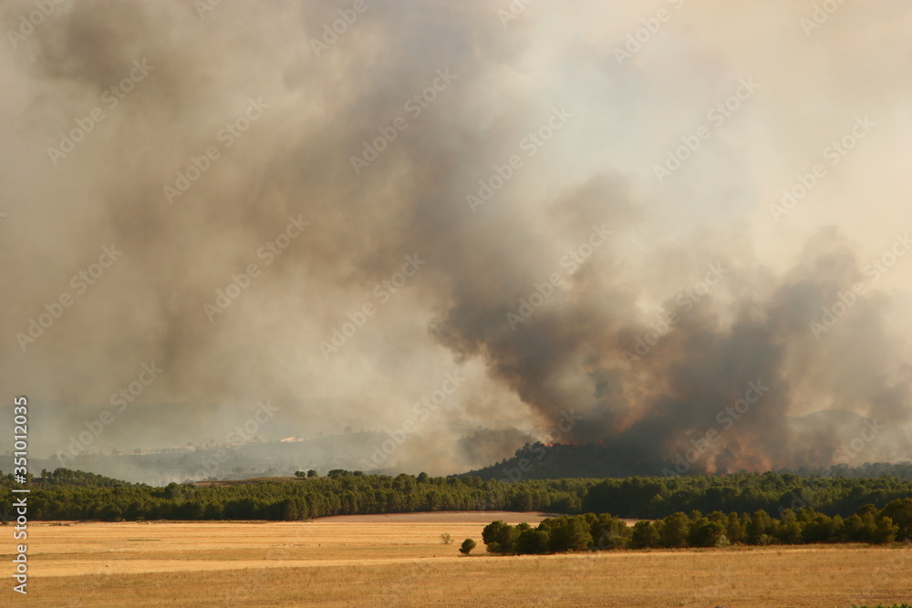 Incendio forestal, 1 de julio de 2012, Hellín-Albacete-España