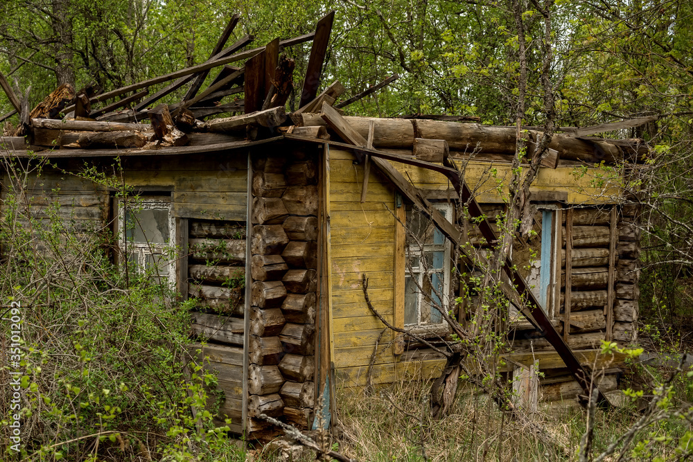 Destroyed wooden old houses in an abandoned village evicted during the Chernobyl accident at a nuclear power plant. Ukraine.