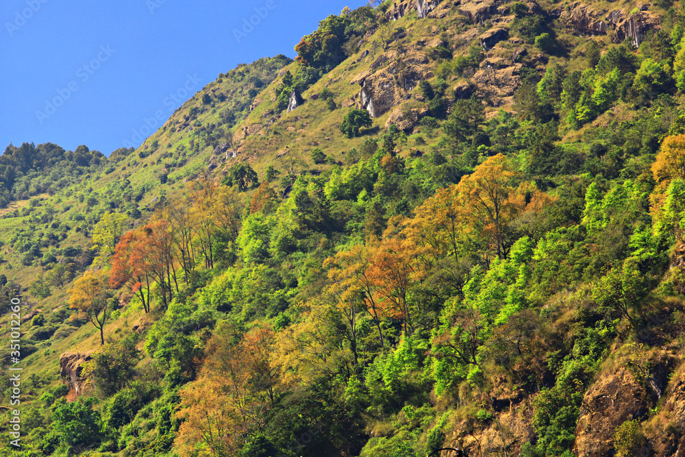 Perfect Autumn at the Water's Edge Fall Colors at Chiang Mai Northern part Thailand, Colorful Leaves changing