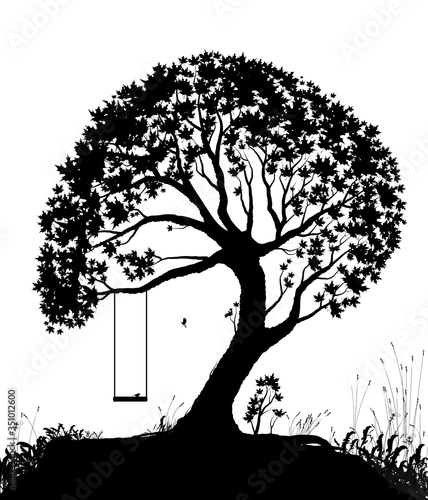 swing on tree, childhood memories in summer day, piece of childhood, black and white, (ID: 351012600)