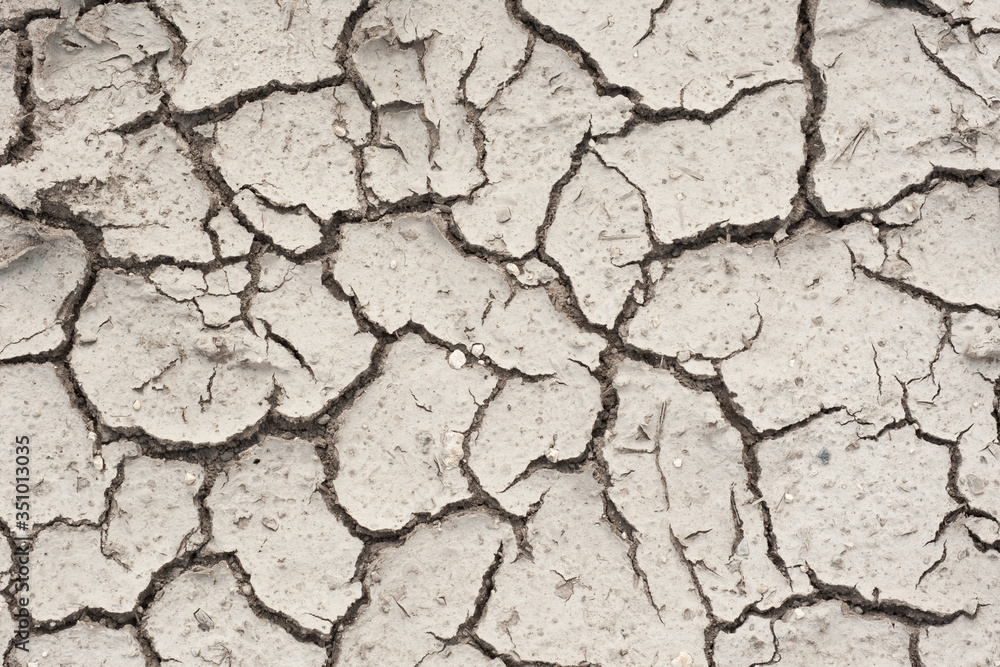 the texture of a dry, cracked surface of the soil the texture of a dry, cracked surface of the soil