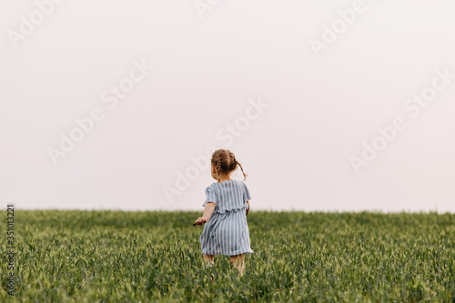 Little anonymous girl with two braids, running in green wheat grass field.