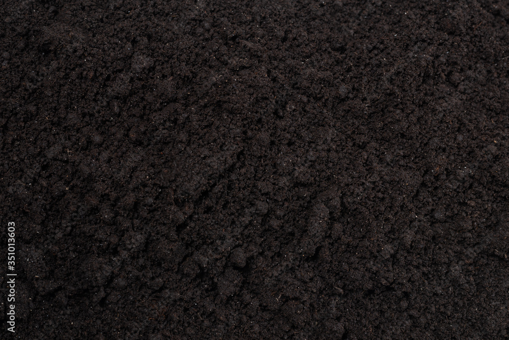 Fototapeta premium Black land for plant background.