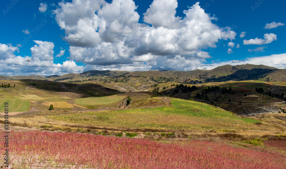 Beautiful view of Cusco landscape with cultivated fields, flowers, clouds and hills