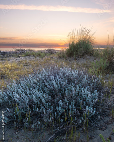 Fotografia della spiaggia di Marina di Vecchiano (Pisa) attorno al tramonto