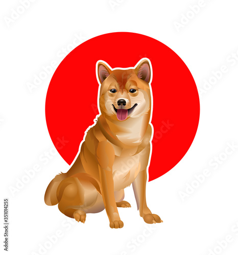 Dog Shiba Inu. Japanese breed of dog. Japanese dogs Hokkaido Akita Inu against the background of the Japanese flag. Vector illustration