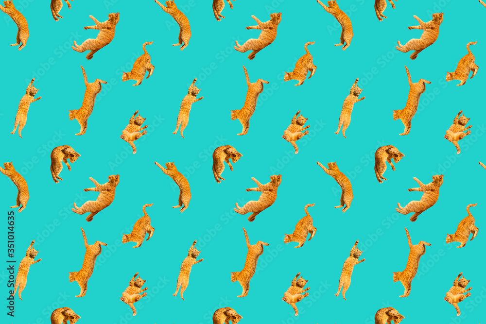 pattern of many ginger flying jumping, dance funny cats, on a light background, set collage pattern of many ginger flying jumping, dance funny cats, on a light background, set collage