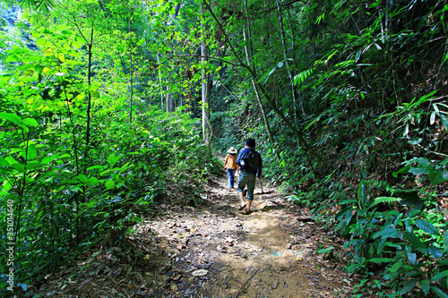 Fototapeta Naklejka Na Ścianę i Meble -  Nature trails of Guilin's Thailand in ratchaprapa Dam, Khao Sok national park, Surat thani, Thailand