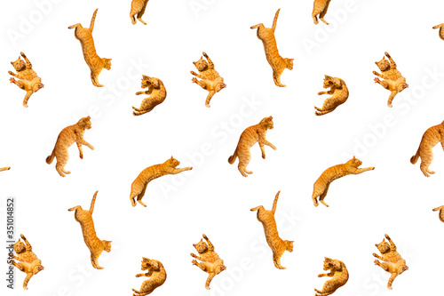 pattern of many ginger flying jumping, dance funny cats isolated on a white background, set collage