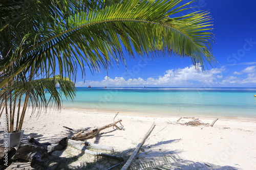 Fototapeta Naklejka Na Ścianę i Meble -  Koh Tao island, tropical beach in Surat Thani Province, Thailand