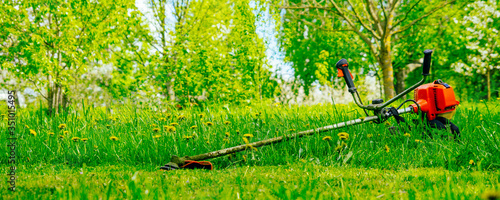 Cuadro en lienzo Petrol trimmer on the green lawn in the garden