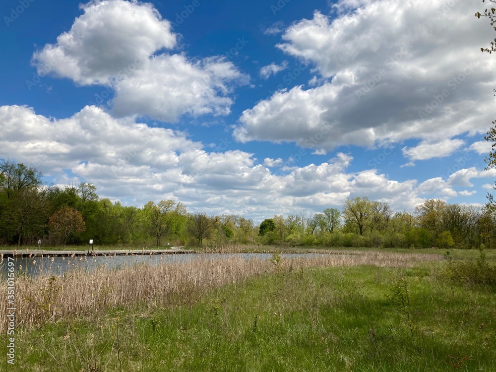 spring landscape with lake and sky