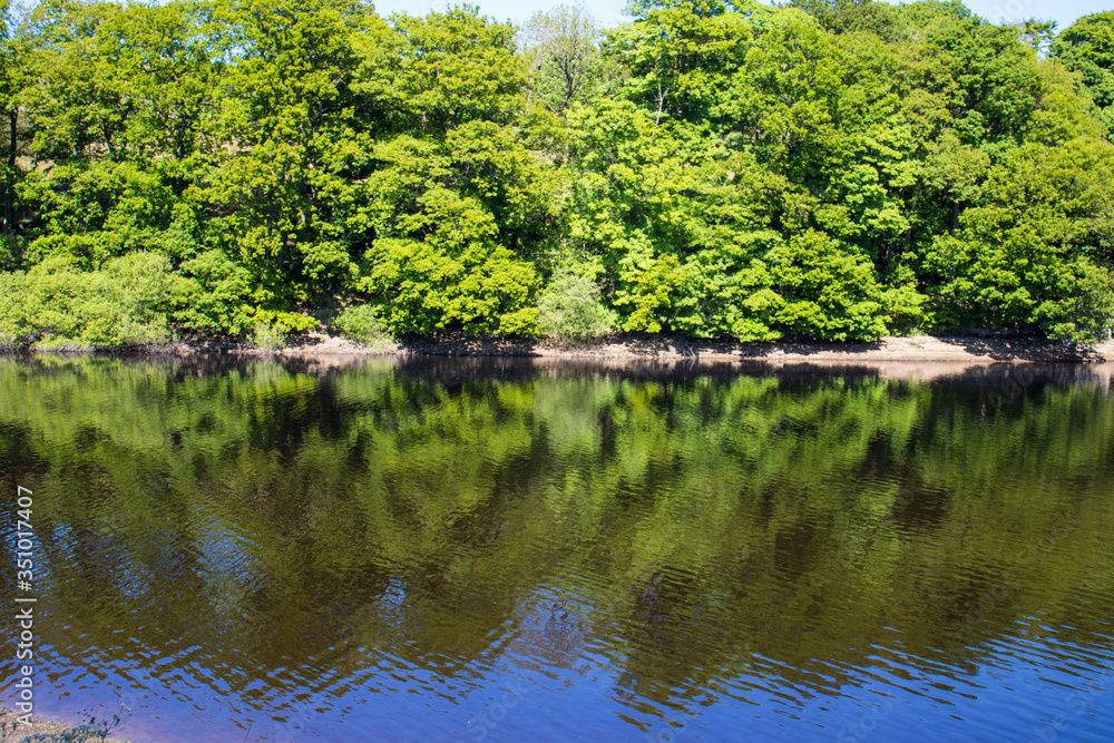 Reservoir in Spring 2020 Reservoir in Spring 2020