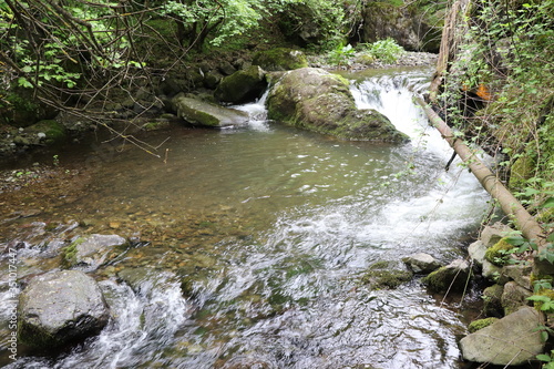 A mountain river flows between the rocks. The water in the river is clean and transparent. From here, water is taken through pipes for irrigation in gardening.