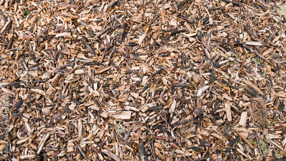 Sawdust in the forest. Macro shooting. Abstract Background Sawdust in the forest. Macro shooting. Abstract Background