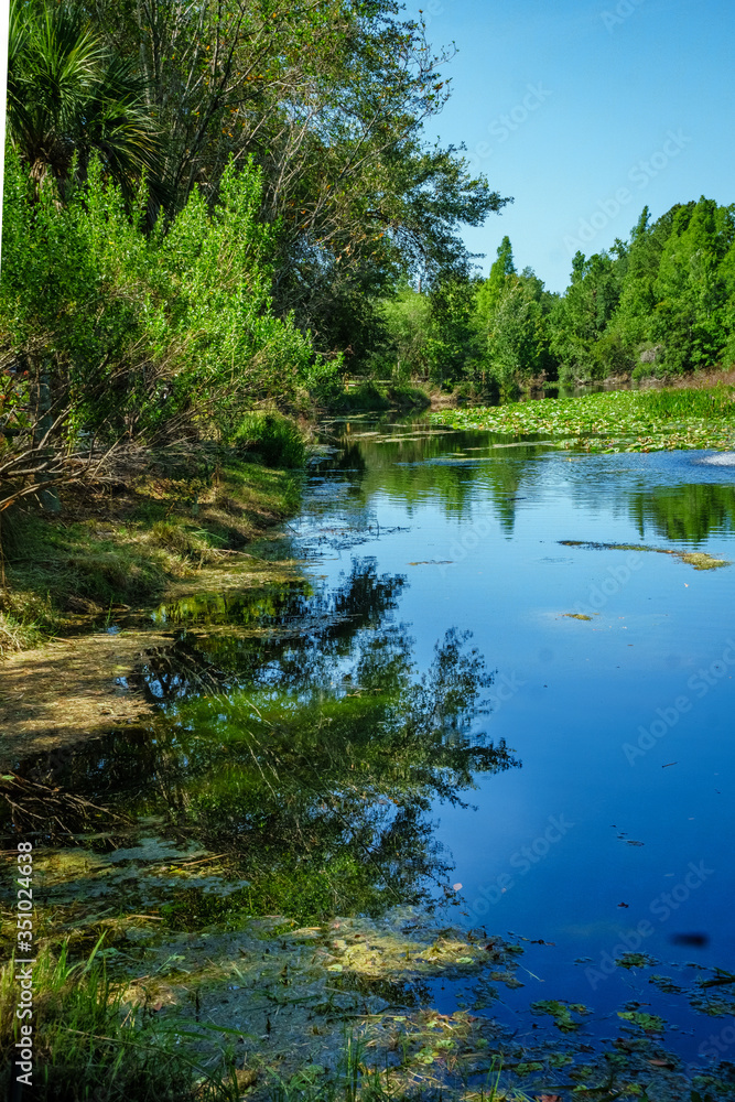 Beside the pond