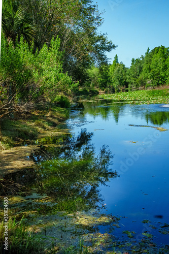 Beside the pond