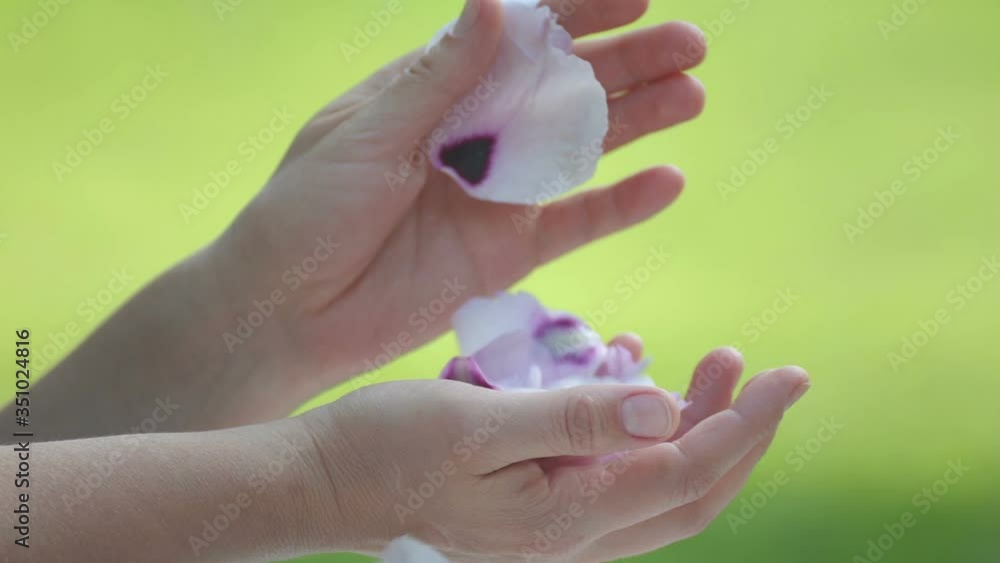 Female hands with peony petals. Close-up hands with flower petals. Female hands with peony petals. Close-up hands with flower petals.