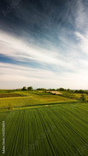 green field and blue sky
