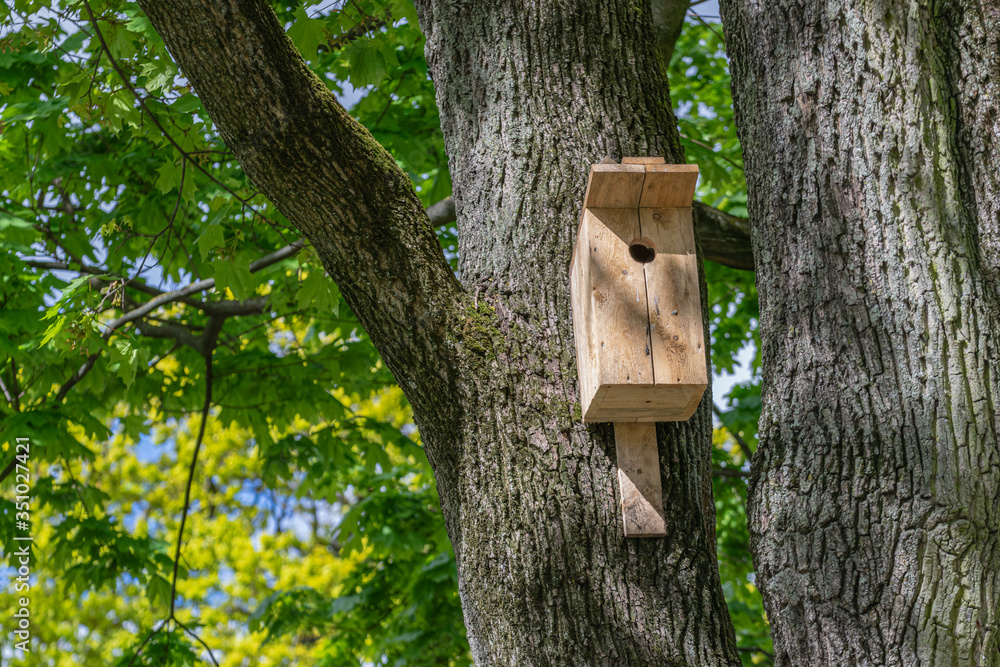 Yellow wooden birdhouse hanging on a tree in a city park in spring.