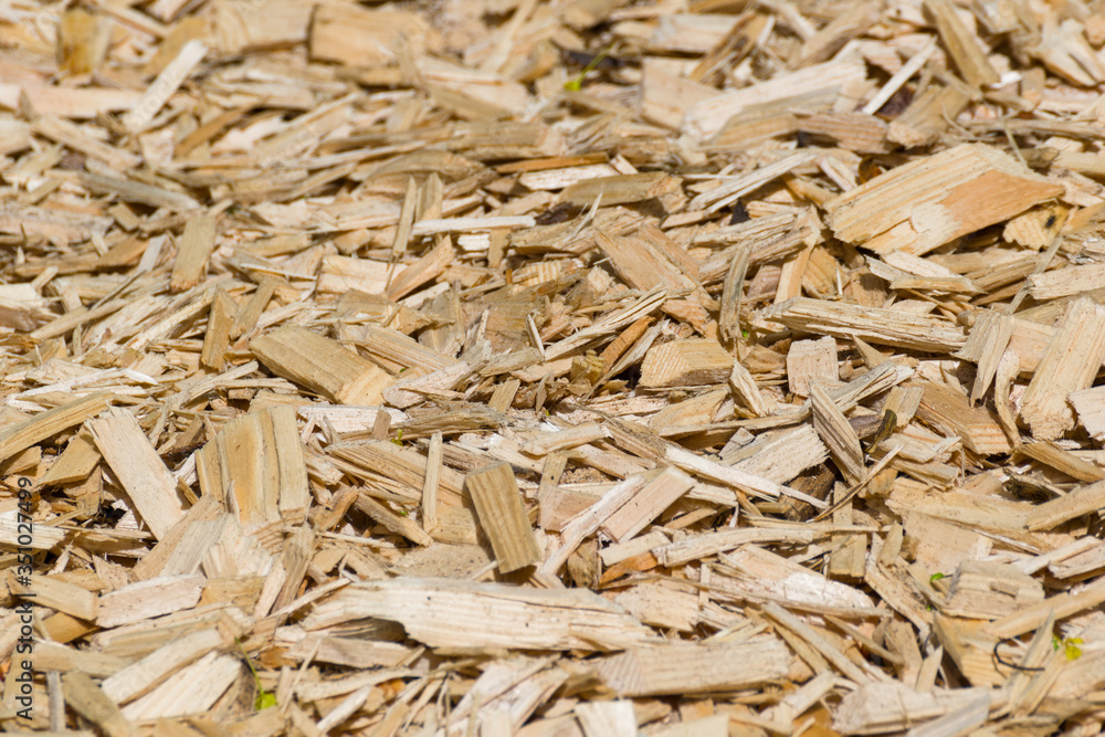 abstract background in the form of wood chips light brown and yellow. Wooden chips on the ground. abstract background in the form of wood chips light brown and yellow. Wooden chips on the ground.