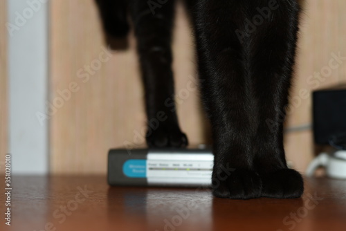 A black cat sits on a warm router with its front paws on the table. The pose of its paws expresses calm and peace.
