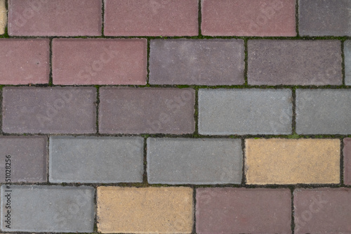 Texture of colored street tiles. Multi-colored tile background on the ground.Street tiles with green moss.