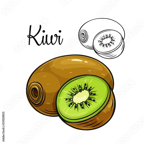 Kiwi vector drawing icon